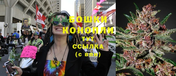 прущие крисы Мегион