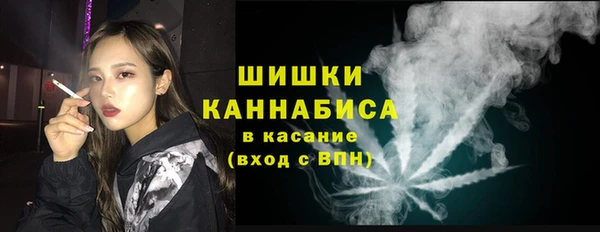 альфа пвп Медвежьегорск