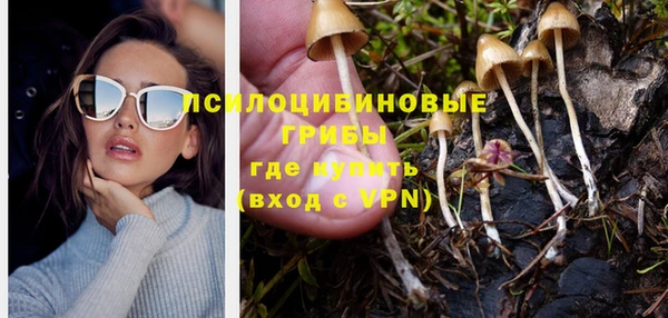 альфа пвп Медвежьегорск
