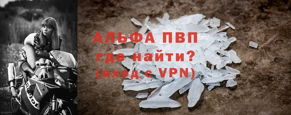 альфа пвп Медвежьегорск